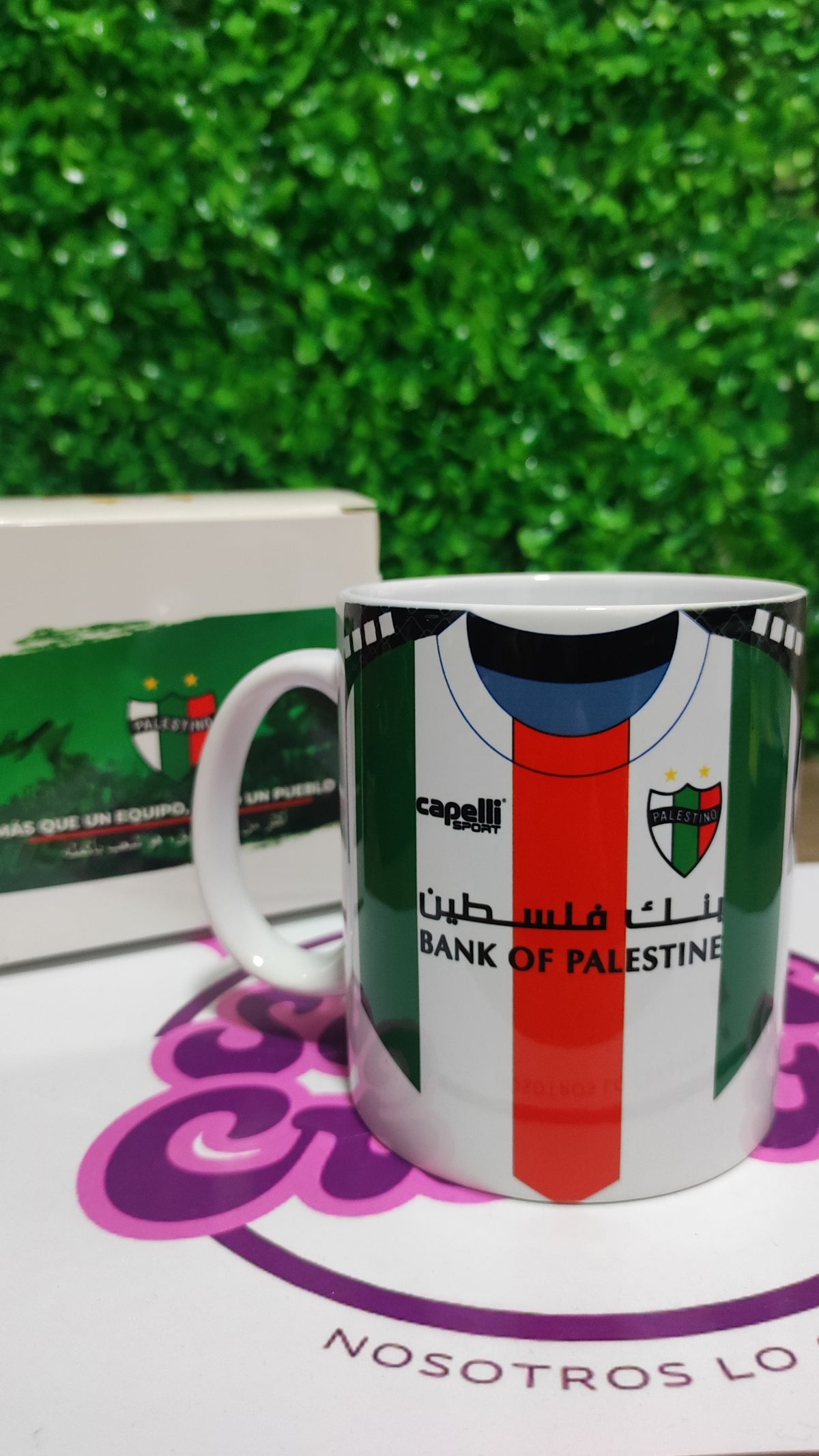 Taza Palestino 2025 + Caja Temática · Diseño 117