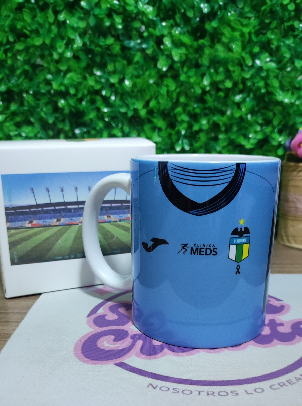Taza Ohiggins 2025 + Caja Temática · Diseño 116