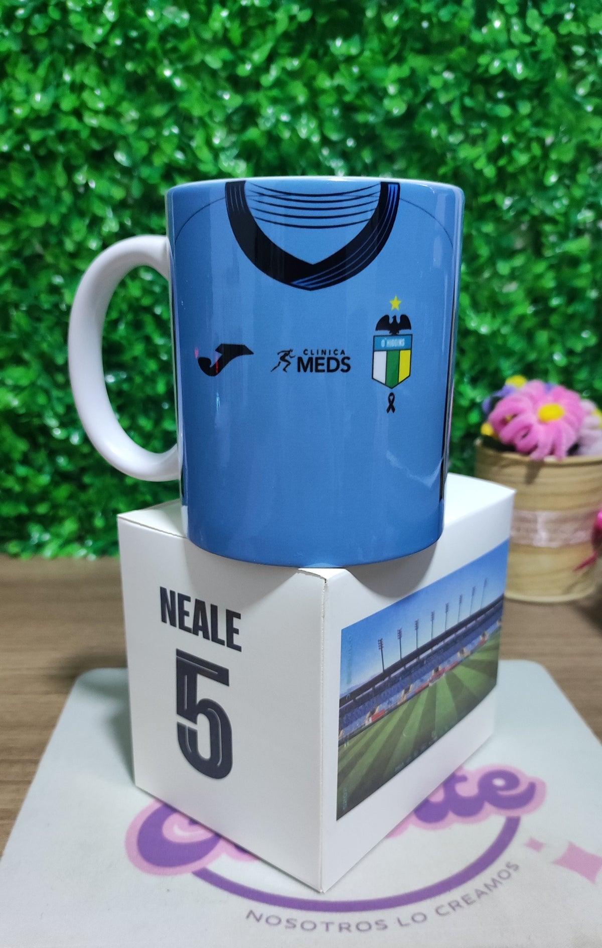 Taza Ohiggins 2025 + Caja Temática · Diseño 116