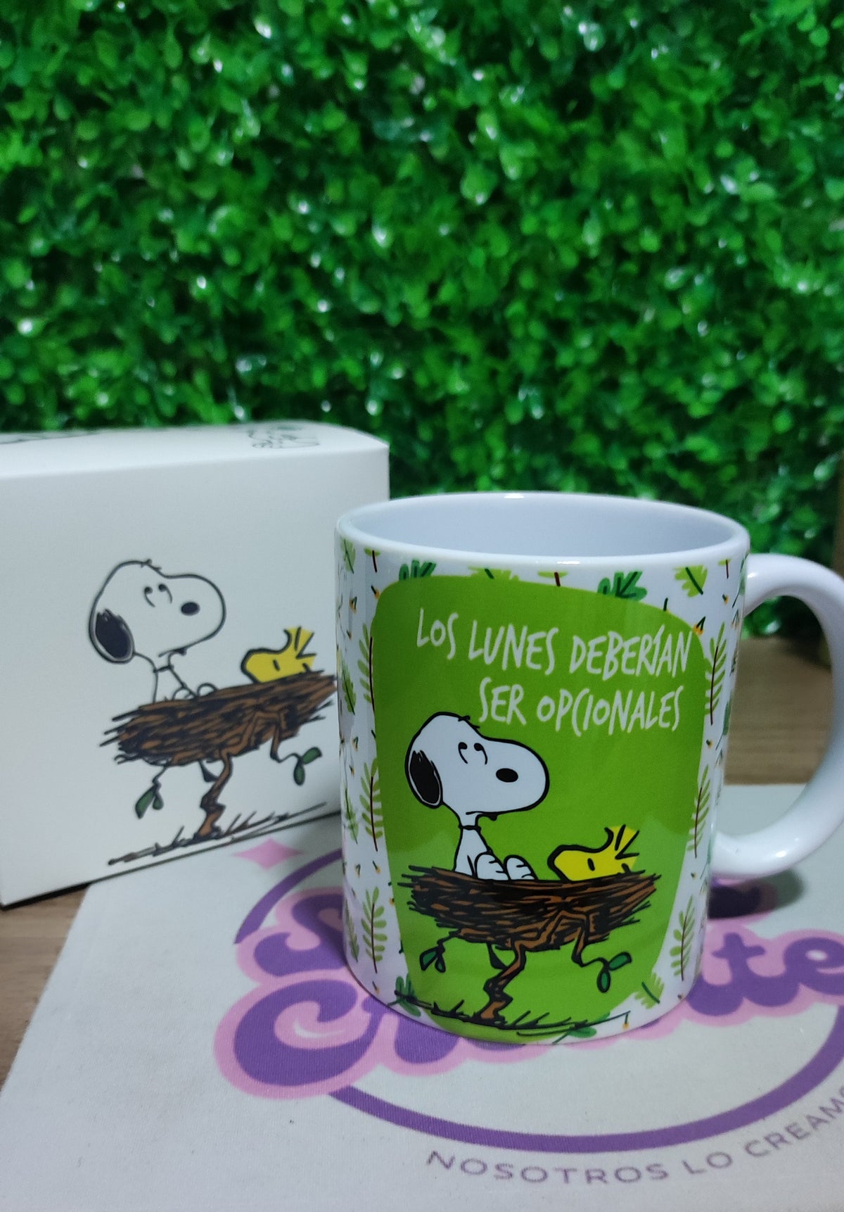 Taza Snoopy + Caja Temática · Diseño 072