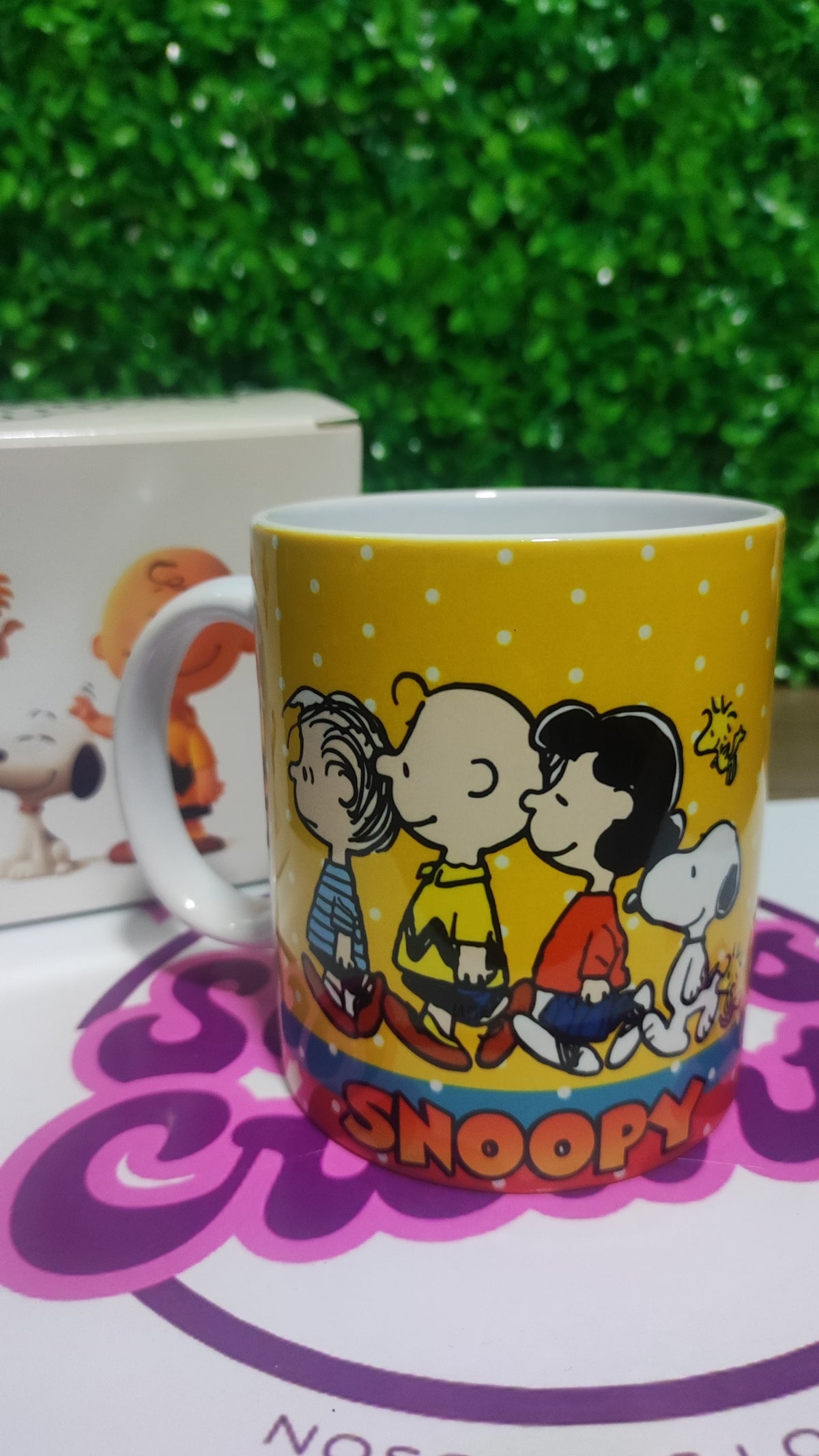 Taza Snoopy + Caja Temática · Diseño 070