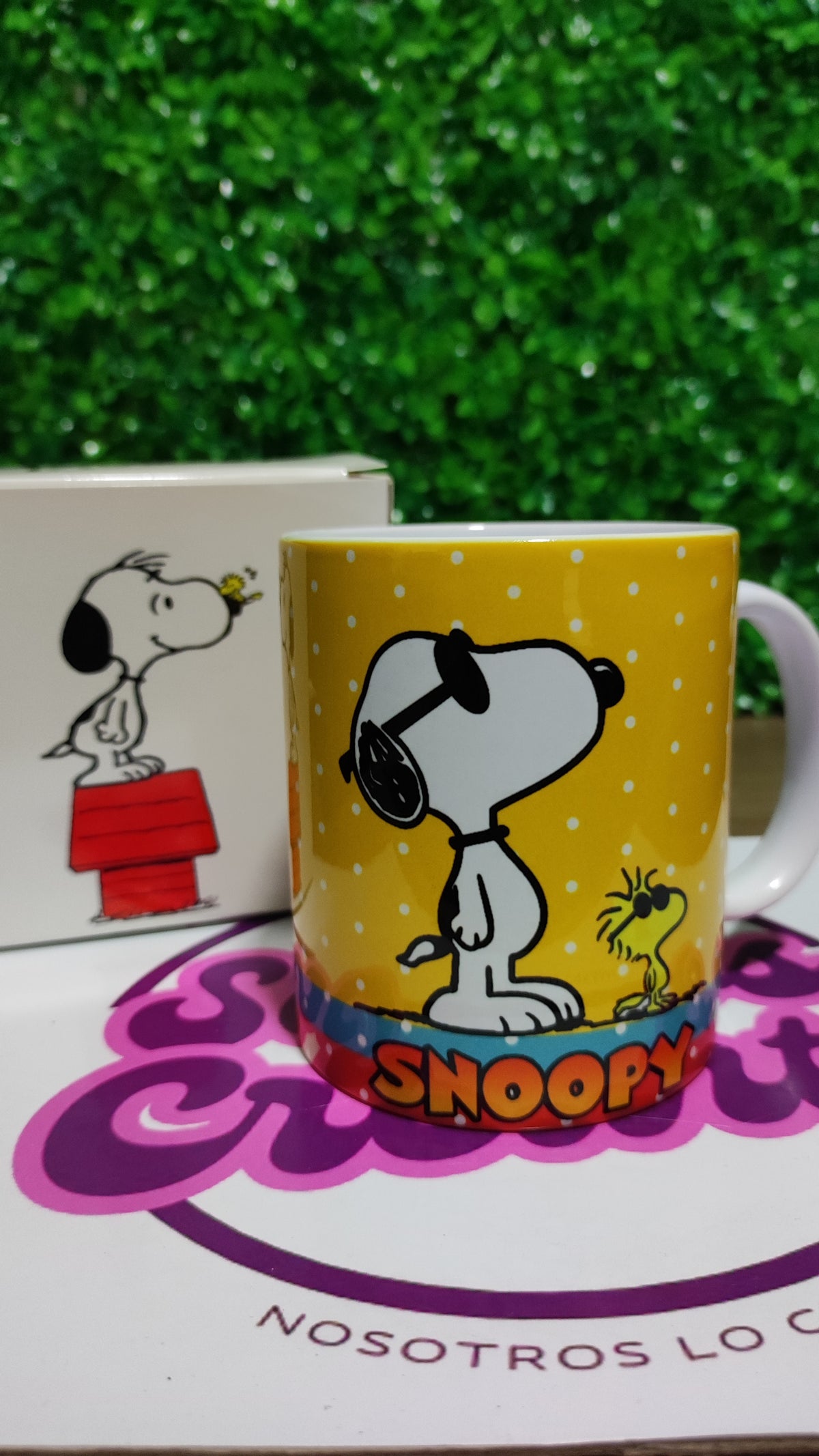 Taza Snoopy + Caja Temática · Diseño 068
